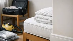 Bedwantsen herkennen en bestrijden: zo pak je het thuis slim aan