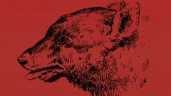 Kun jij de persoon vinden in deze optische illusie?