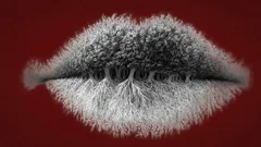 Wat zie jij als eerste op de afbeelding? Test of je introvert, extravert of ambivert bent