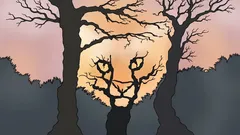 Wat zie jij op deze afbeelding? Een psychologische test die onthult hoe jij de wereld ziet