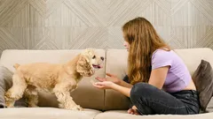 Kunnen dieren de menselijke taal begrijpen?