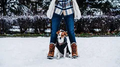 Hoeveel minuten per dag moet je een puppy uitlaten?