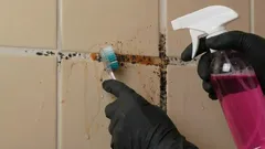 Hoe kom je van schimmel in de voegen tussen de tegels af en geef je ze hun oorspronkelijke uitstraling terug