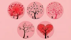 Psychologische test: de boom die je kiest, bepaalt hoe aardig je bent