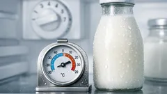 Wat is de beste koelkasttemperatuur om eten veilig te houden én stroom te besparen