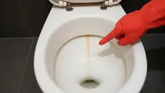 Iedereen kent deze gele streep, maar niet iedereen kent de simpele manier om ervan af te komen.