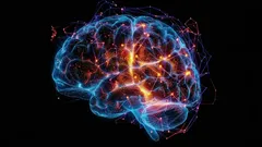 Wat is de ziekte van Alzheimer en waarom gaat ons geheugen achteruit? Een wetenschappelijke uitleg.