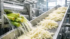 Van bananenstam naar banaanvezel: zo wordt landbouwafval een bruikbare grondstof