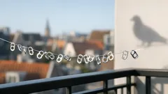 Waarom mensen bliklipjes ophangen tegen duiven en of het echt werkt