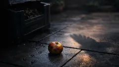 Trekt fruit uilen aan? Dit is waarom het vooral muizen lokt in je tuin