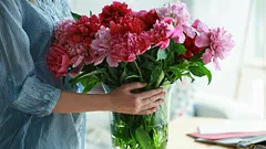 Zo blijft een boeket bloemen thuis langer vers – 5 effectieve tips