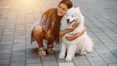 De meest vriendelijke hondenrassen voor gezinnen met kinderen die echt van mensen houden