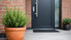 Waarom rozemarijn naast de voordeur zo’n goed idee is (en hoe je ’m mooi houdt)