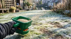 Winterzaai in het gazon: zo zaai je gras in december voor een voorsprong in het voorjaar