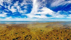 Er is op aarde maar één bijzondere zee zonder oevers.