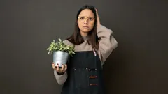 Wat uw planten onopgemerkt schade toebrengt: 7 verzorgingsfouten die onschuldig lijken